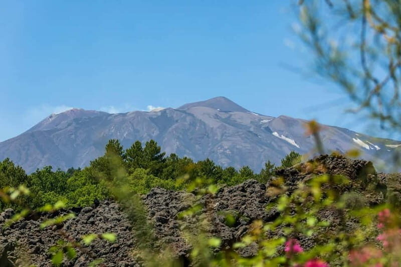 From Cefalu & Taormina: Climb Mount Etna 1900m - Real Travelers’ Voices