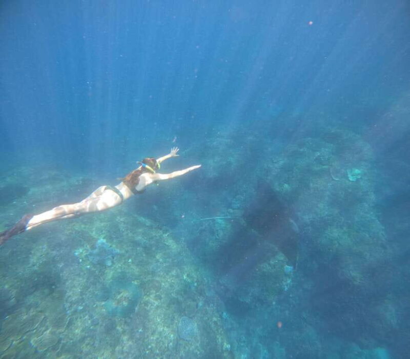 From Ceningan: Snorkeling with Manta Rays at Manta Point - Analyzing the Price and Value