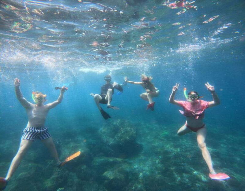 From Ceningan: Snorkeling with Manta Rays at Manta Point - Practical Tips for Participants
