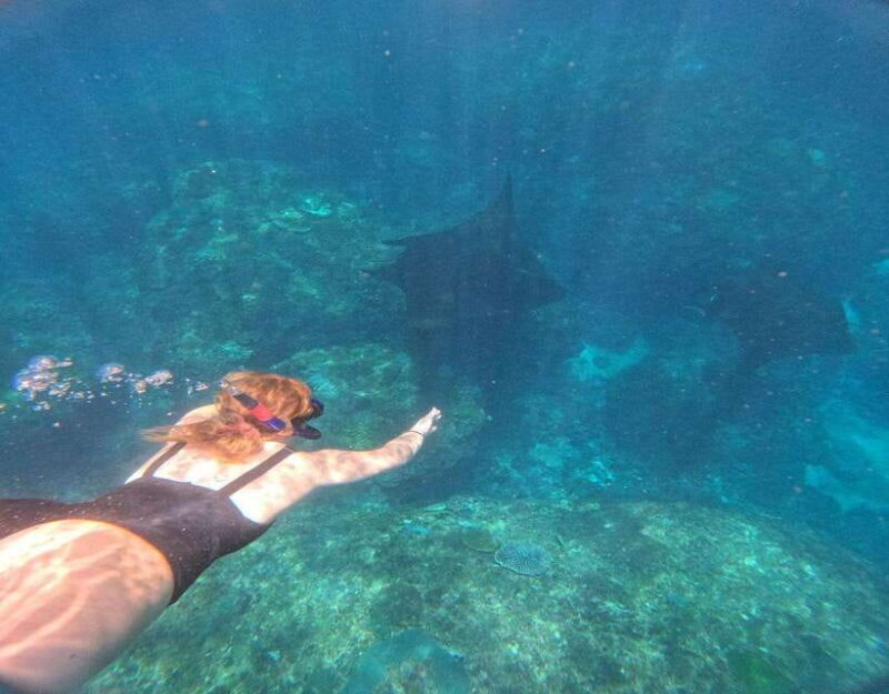From Ceningan: Snorkeling with Manta Rays at Manta Point - Who Should Consider This Tour?