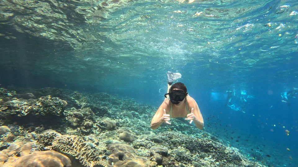 From Ceningan: Snorkeling With Turtle Experience - Key Points