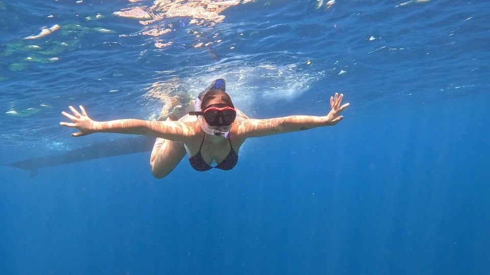 From Ceningan: Snorkeling With Turtle Experience - Eco-Friendly Adventure