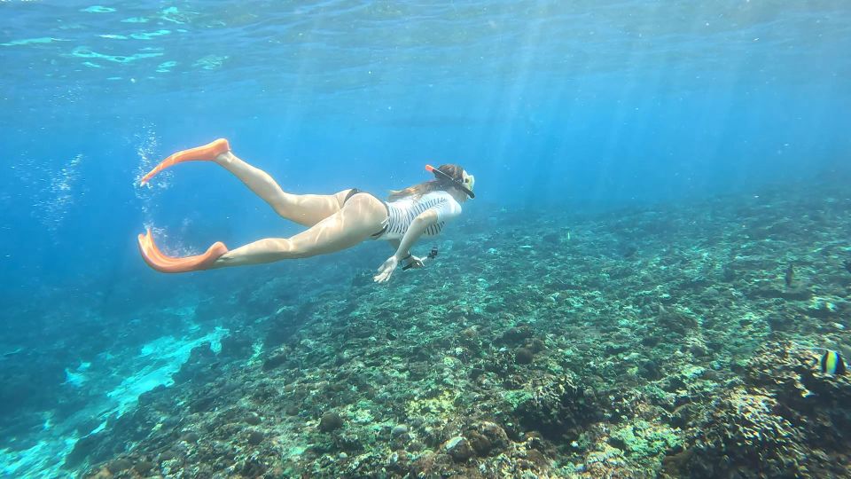 From Ceningan: Snorkeling With Turtle Experience - Snorkeling Equipment Included