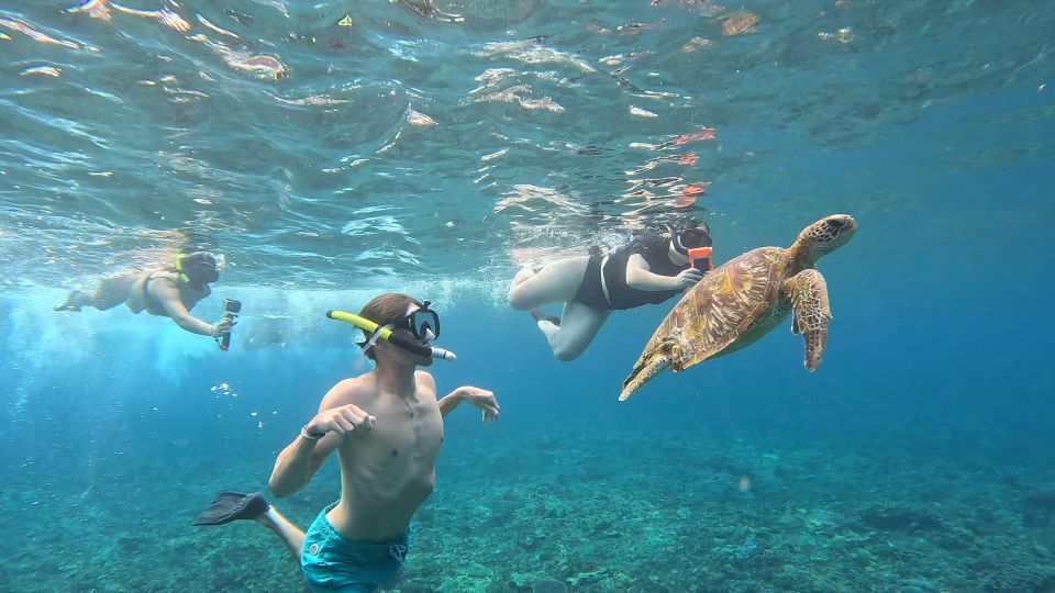 From Ceningan: Snorkeling With Turtle Experience - 3 Snorkeling Spots Explored