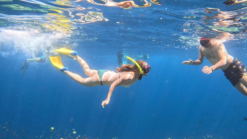 From Ceningan: Snorkeling With Turtle Experience - Underwater Documentary Experience
