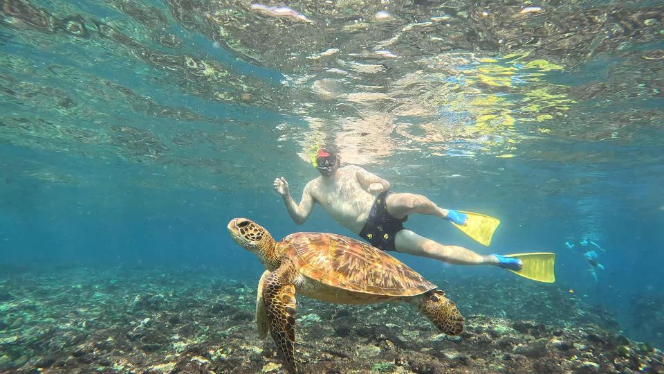 From Ceningan: Snorkeling With Turtle Experience - Professional Photography Option