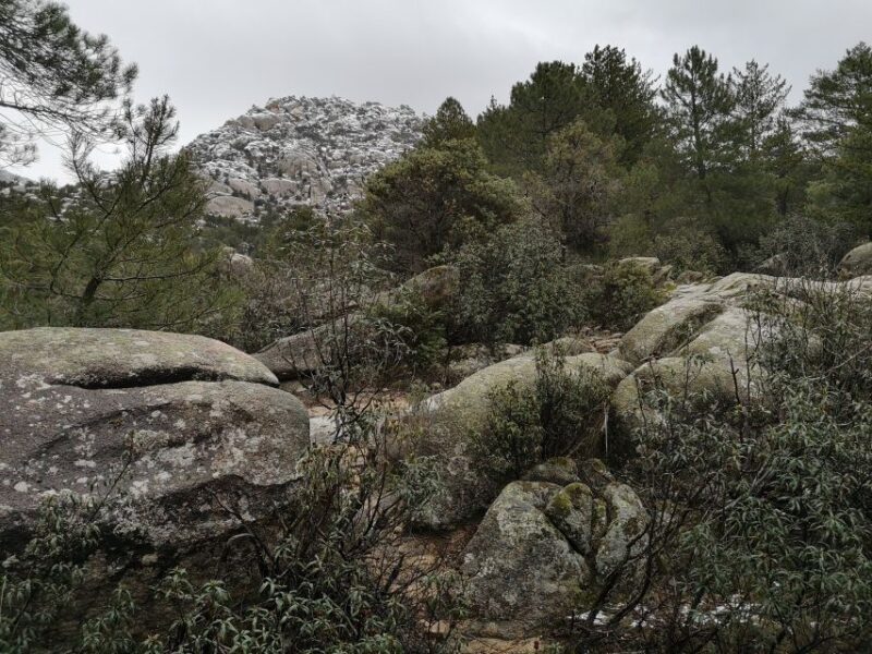 From Centro: Guadarrama National Park Private Tour - Experience and Activities