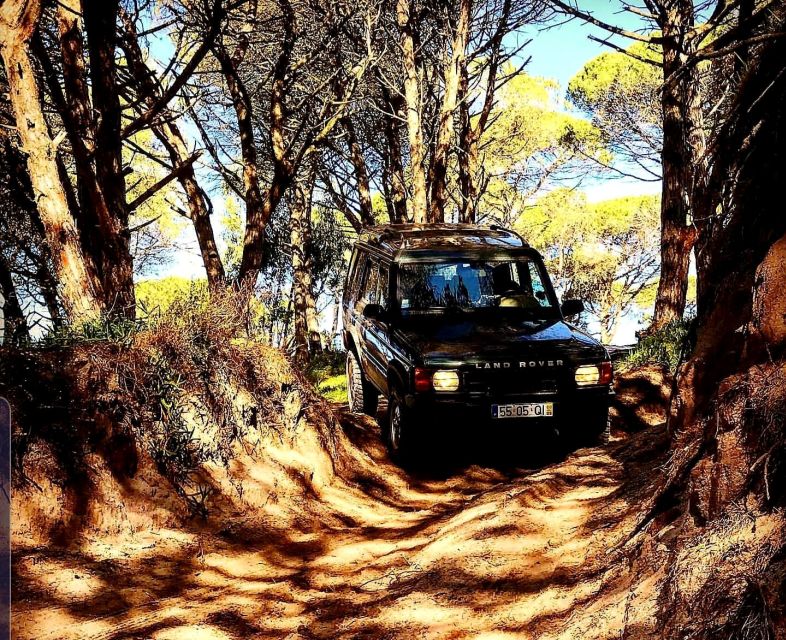 From Cesaro: Nebrodi Park by 4x4 Half-Day Trip - Key Points