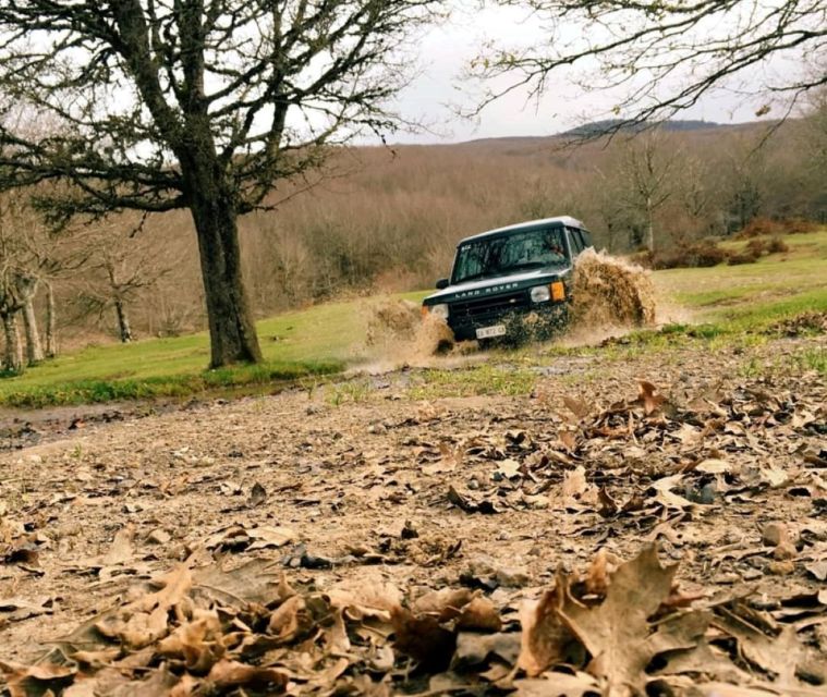 From Cesaro: Nebrodi Park by 4x4 Half-Day Trip - What to Expect on the Journey