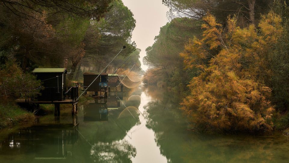 From Cesenatico: E-bike Day Trip to Ravenna - Key Points