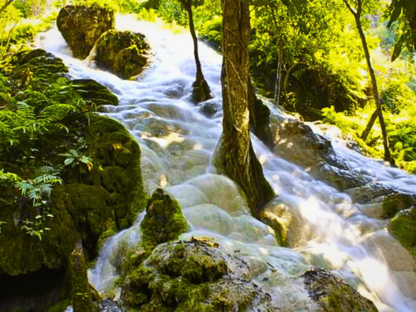 From Chang Mai: Sticky Waterfall Private Day Trip - Key Points