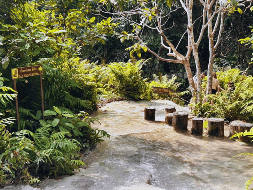From Chang Mai: Sticky Waterfall Private Day Trip - Trip Overview