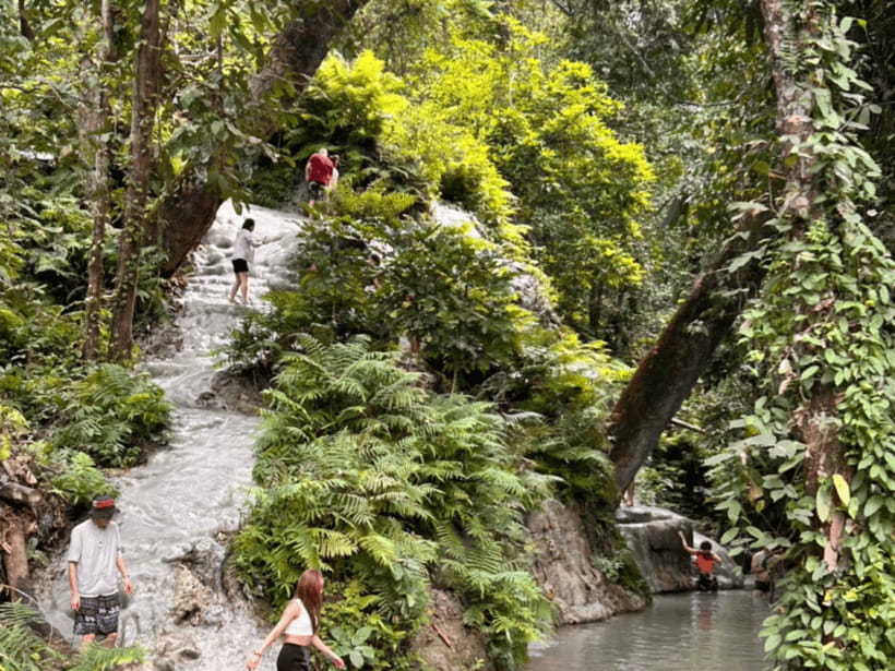 From Chang Mai: Sticky Waterfall Private Day Trip - Recommendations and Guidelines
