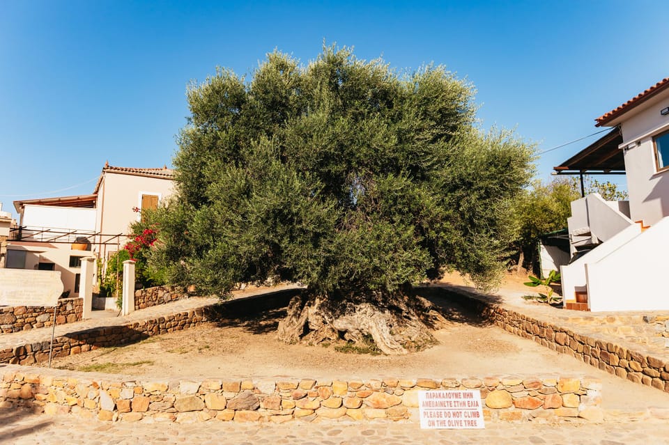 From Chania: Elafonisi and Falasarna Guided Tour with Snacks - Introduction