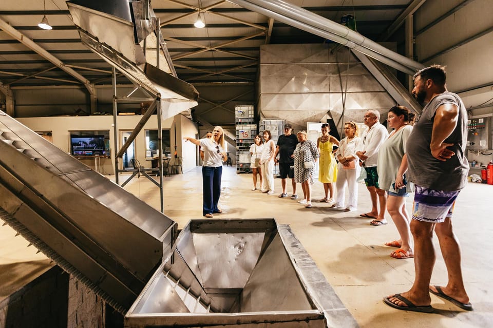 From Chania: Elafonisi and Falasarna Guided Tour with Snacks - Final Thoughts: Who Should Take This Tour?