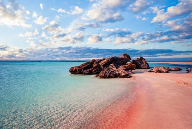 From Chania: Elafonisi Island Day Tour by Bus - Key Points
