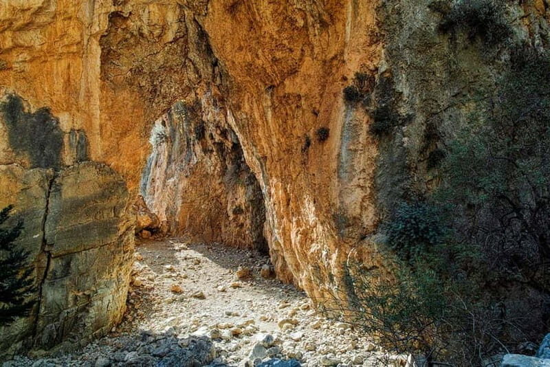 From Chania: Imbros Gorge and Sfakia Experience Hike & Swim - An In-Depth Look at the Tour Experience