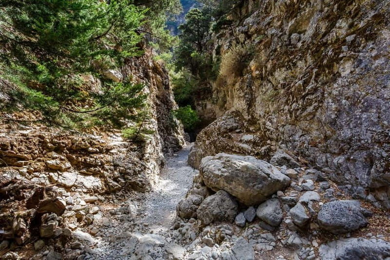 From Chania: Imbros Gorge and Sfakia Experience Hike & Swim - Who Would Love This Tour?