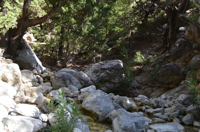From Chania/Kalyves: Full-Day Samaria Gorge Hiking Day Trip - Final Thoughts: Is This Tour Right for You?