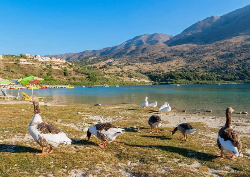 From Chania: Lake Kournas & Argiroupoli Springs Guided Tour - An In-Depth Look at the Tour