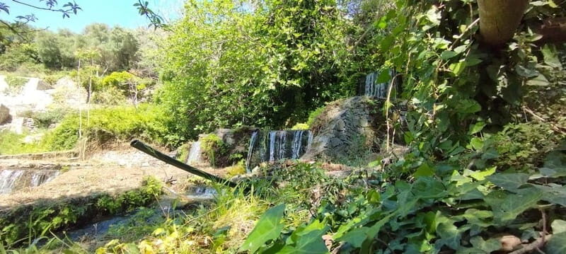 From Chania: Lake Kournas & Argiroupoli Springs Guided Tour - Final Thoughts