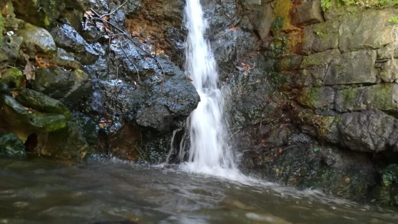From Chania: Lake Kournas & Argiroupoli Springs Guided Tour - FAQ