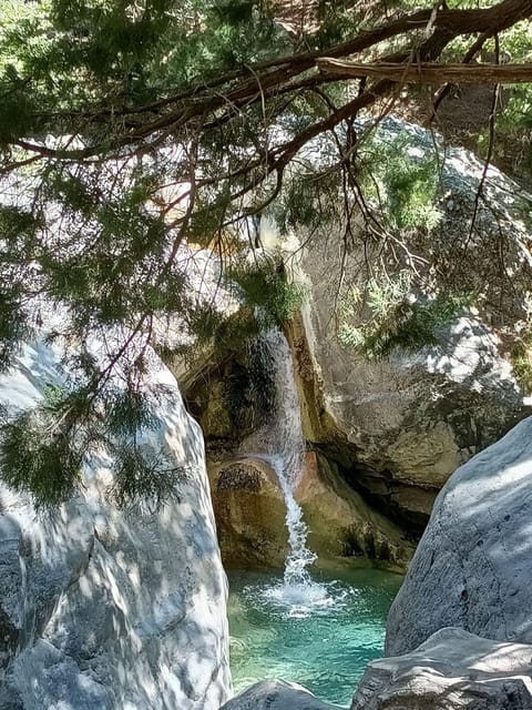From Chania: Samaria Gorge with Professional Hiking Guide - Final Thoughts on Value and Experience