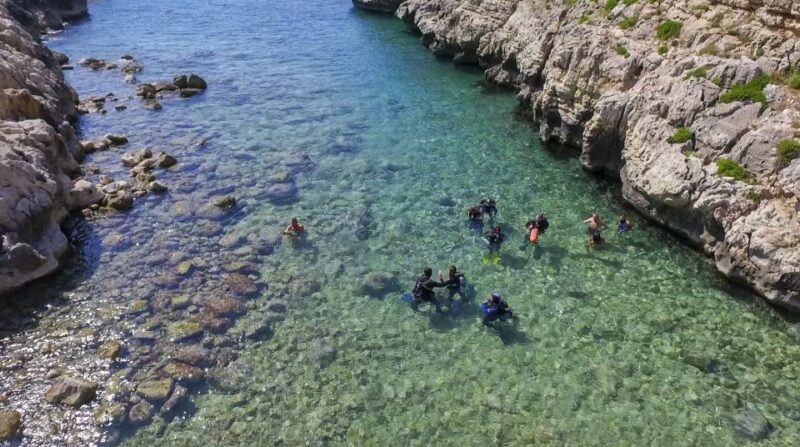 From Chania: Scuba Diving for Beginners - Scuba Diving Experience