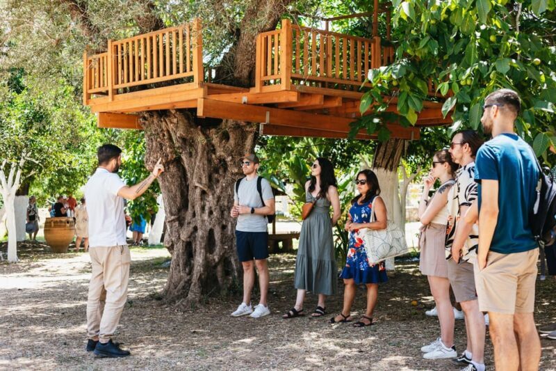 From Chania: Wine and Olive Oil Tasting Tour with Snacks - From Chania: Wine and Olive Oil Tasting Tour with Snacks – A Complete Guide