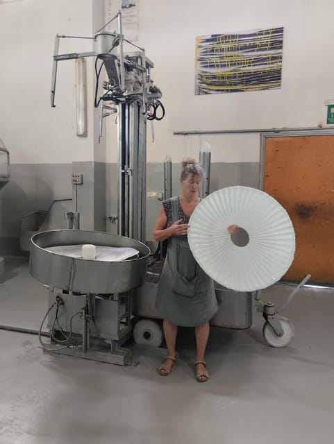 From Chania: Wine, Honey & Olive Oil Private Tour - Key Points