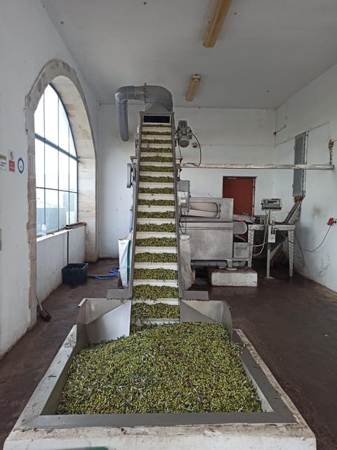 From Chania: Wine, Honey & Olive Oil Private Tour - Final Thoughts