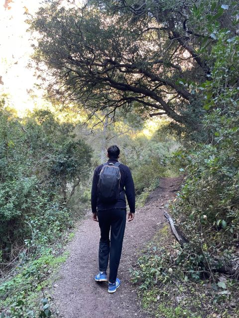 From Chefchaouen: Full Day Trip to Akchour Waterfalls - Breathtaking Natural Beauty
