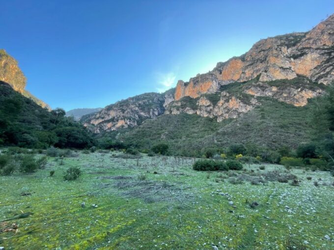From Chefchaouen: Full Day Trip to Akchour Waterfalls - Frequently Asked Questions