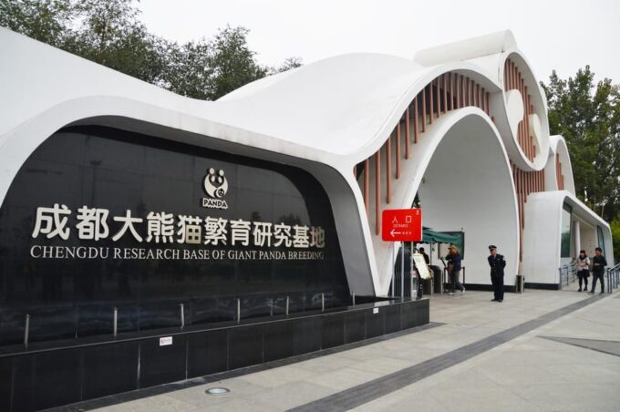 From Chengdu: Leshan Buddha Private Tour/Tickets Only Option - Bullet Train Transportation