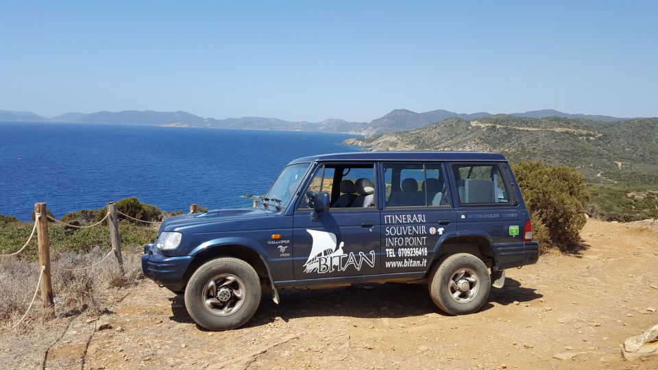 From Chia: Private Half-Day Ancient Roman Road Hiking Tour - Highlights of the Hike