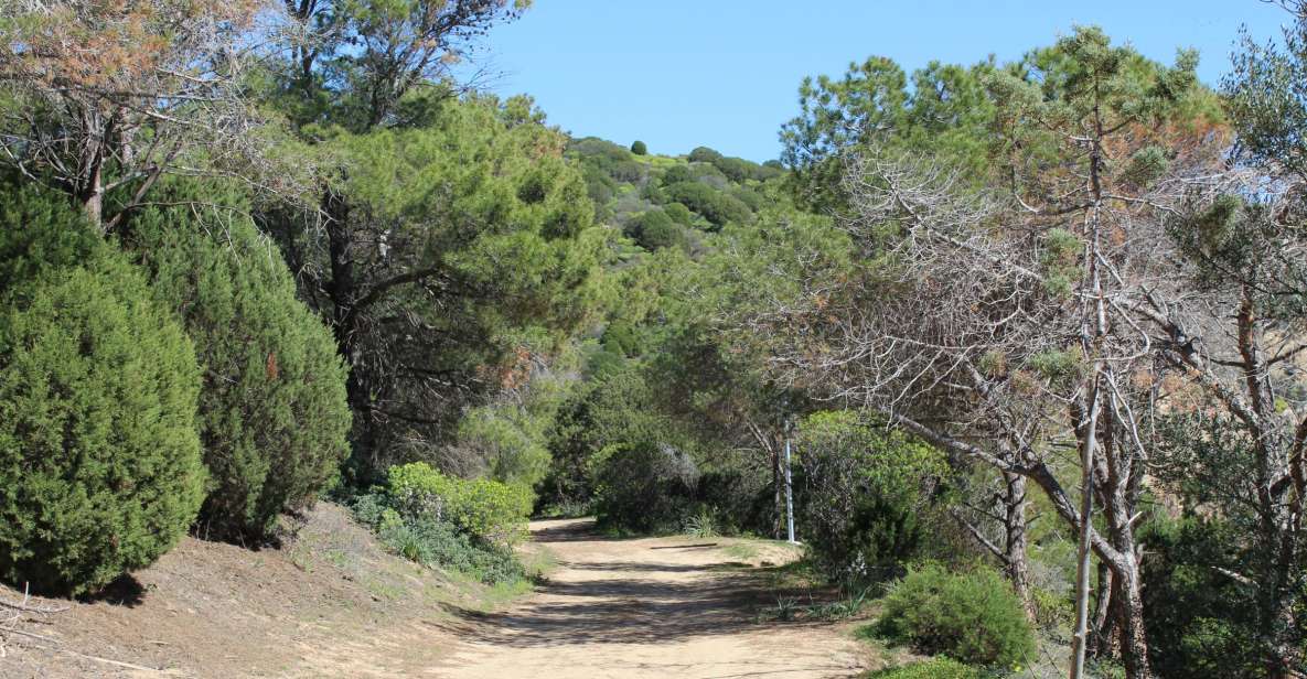 From Chia: Private Half-Day Ancient Roman Road Hiking Tour - Preparing for the Tour