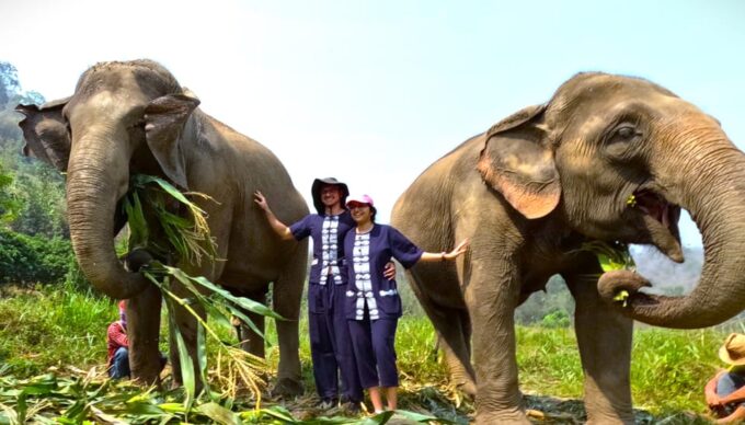 From Chiang Mai: Chiang Mai Elephant Care Morning Program - Essential Packing Recommendations