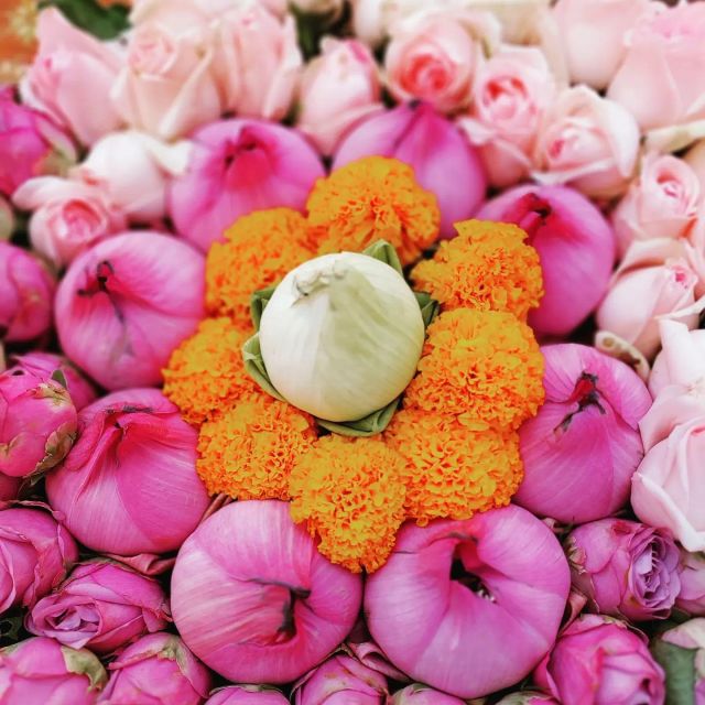From Chiang Mai: Chiang Rai Temples and Golden Triangle Tour - Customer Experiences and Reviews
