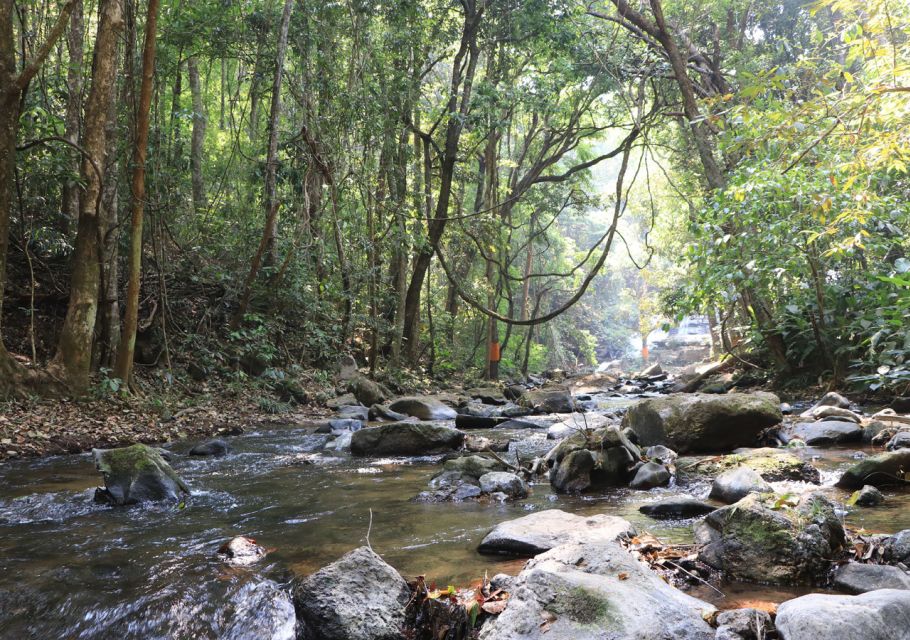 From Chiang Mai: Doi Inthanon National Park Hiking Tour - Scenic Waterfalls