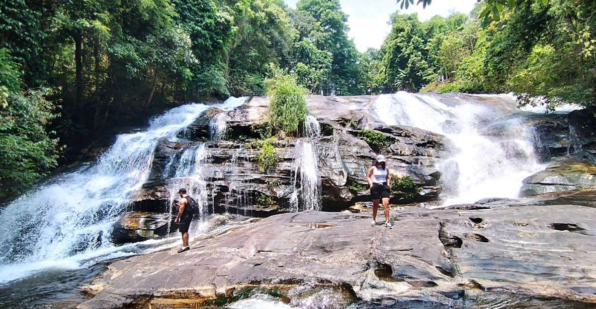From Chiang Mai: Doi Inthanon National Park Hiking Tour - Wildlife Spotting