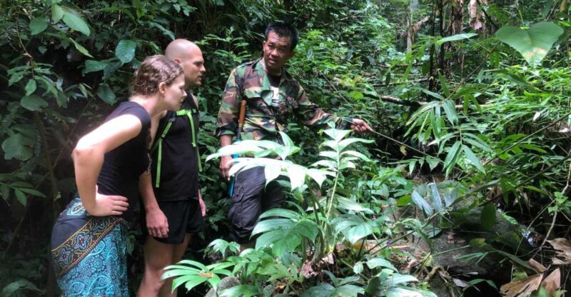 From Chiang Mai: Doi Saket Hiking Tour With Lunch - Highlights and Experience