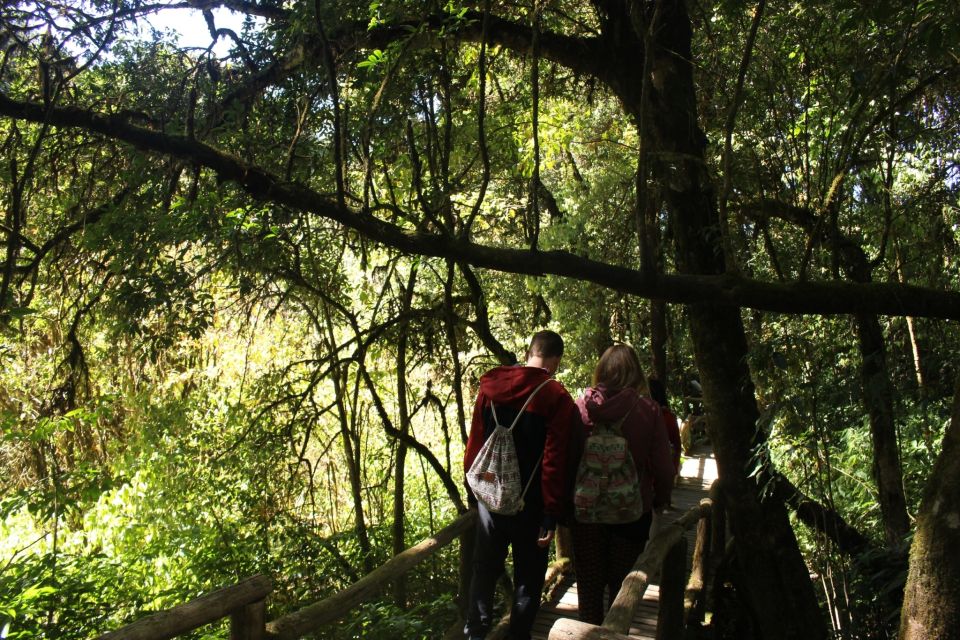 From Chiang Mai: Inthanon National Park - All Inclusive Tour - Observing Karen Village Life