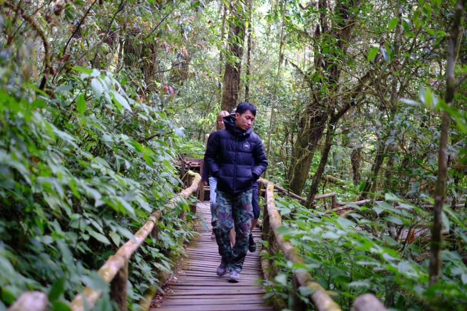 From Chiang Mai: Inthanon National Park - All Inclusive Tour - Frequently Asked Questions
