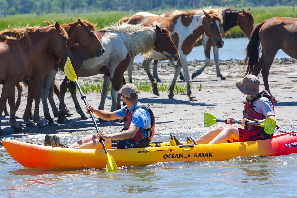 From Chincoteague: Guided Kayak Tour to Assateague Island - Cancellation Policy and Booking