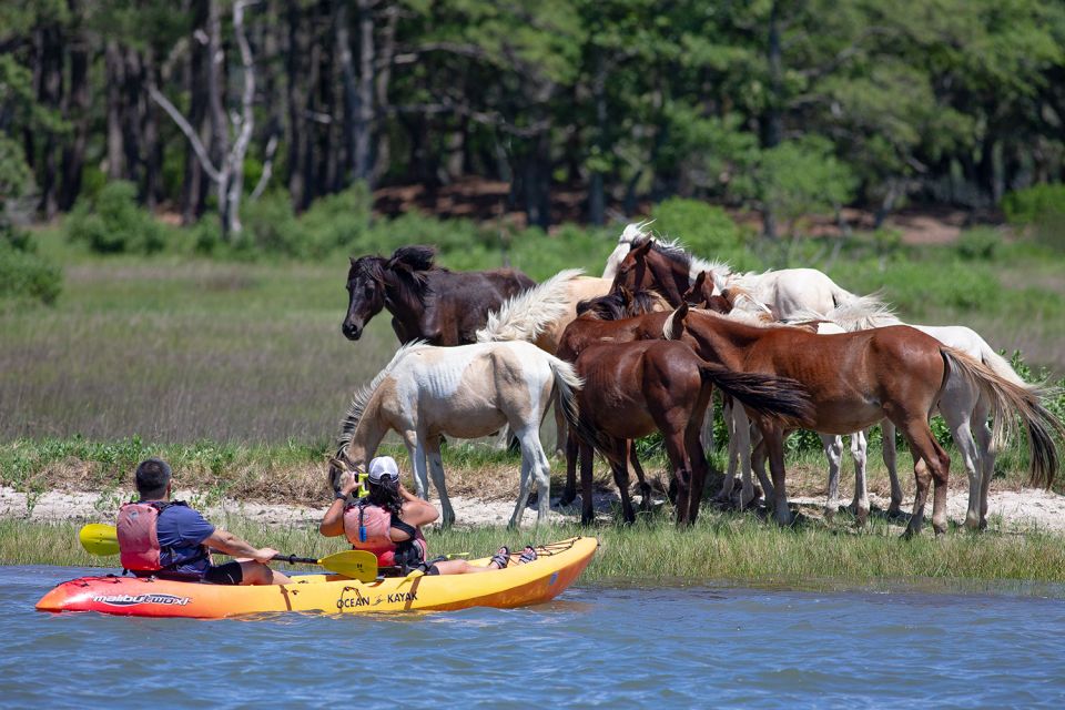 From Chincoteague: Guided Kayak Tour to Assateague Island - Meeting Point and Directions