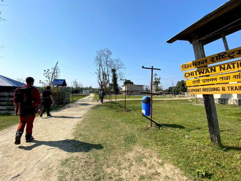From Chitwan : Jeep Safari,Canoeing,Forest Walk Day Tour - Wildlife Spotting Opportunities