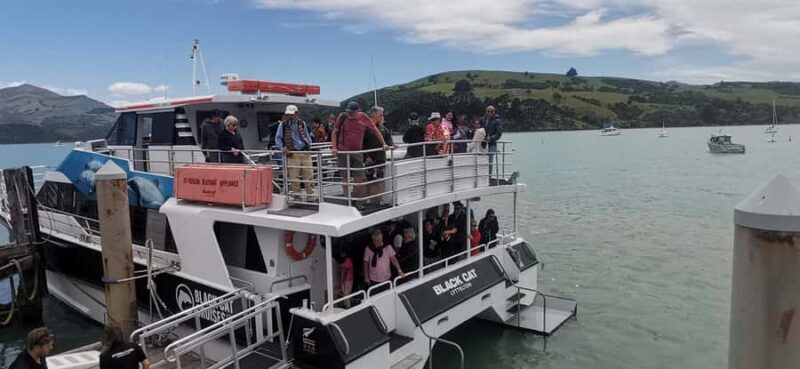 From Christchurch: Akaroa Day Tour with Optional Cruise - Key Points