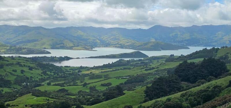 From Christchurch: Akaroa Day Tour with Optional Cruise - Who Will Love This Tour?