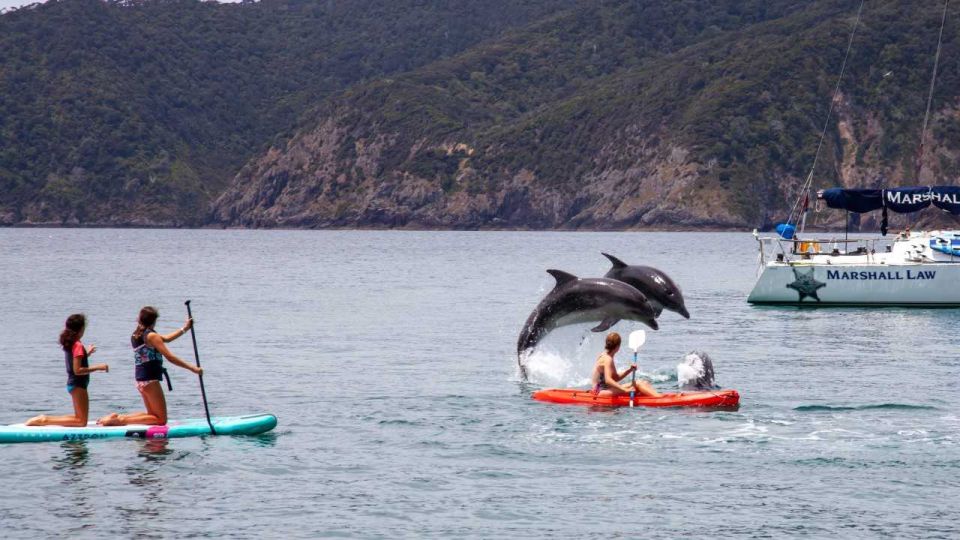 From Christchurch: Akaroa Day Tour With Optional Cruise - Language Options