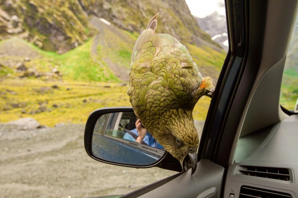From Christchurch: Arthurs Pass Guided Day Trip With Lunch - Experience Features